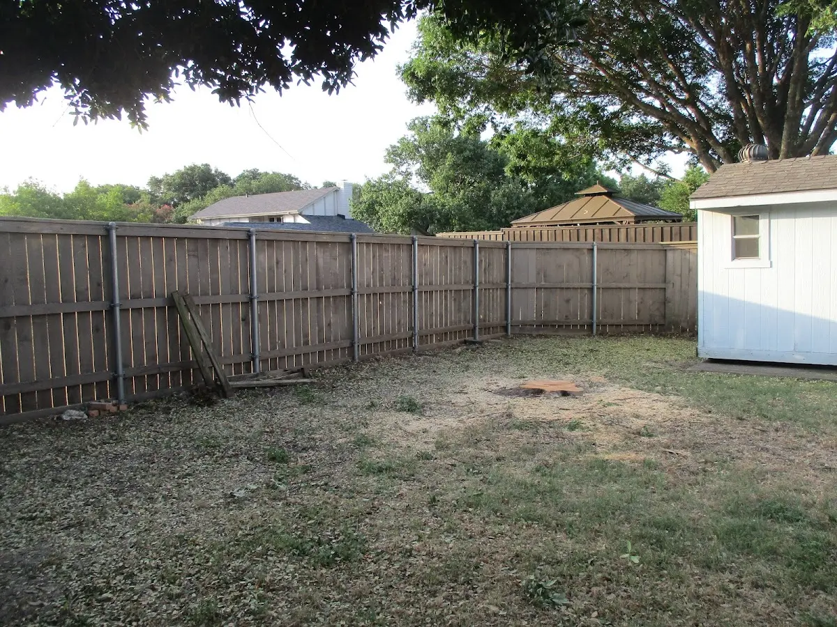 Cleared yard after professional tree removal in Eaton Center
